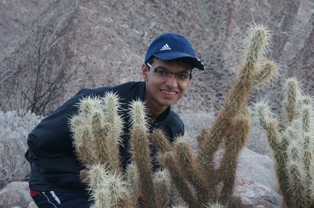 Cactus at Anza-Borrego