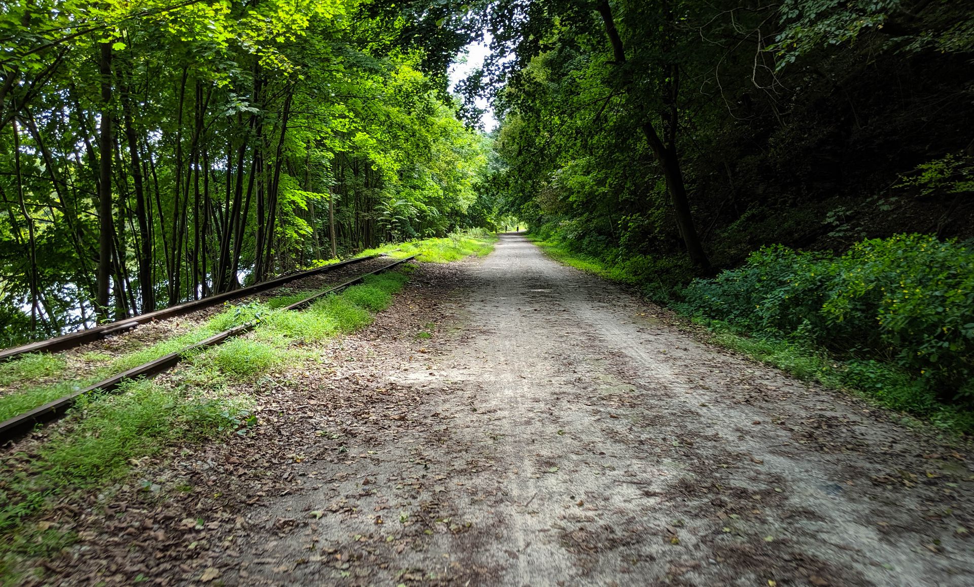 Unpaved trail