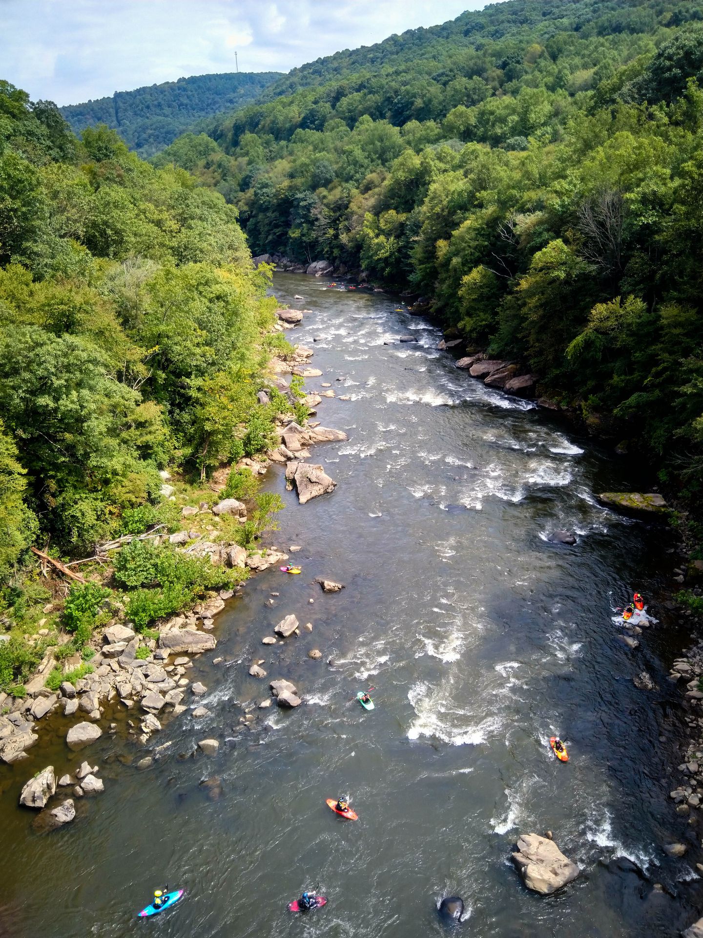 Kayakers