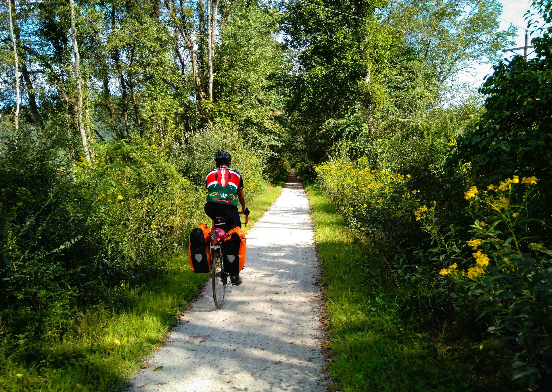 Flowers on trail